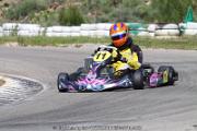 20110501_ales_agnus (3448)